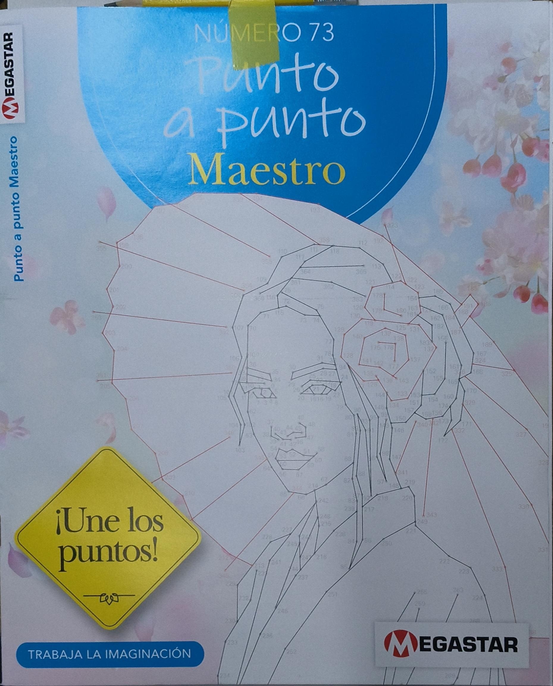 Portada de PUNTO A PUNTO MAESTRO